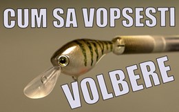 Cum se vopsesc voblerele! Hand made by Marius Bota.